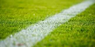 Molfetta Calcio Femminile, pubblicato il calendario del campionato di Serie C