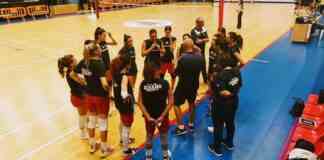 Pubblicati i calendari definitivi per la divisione femminile e maschile della Dinamo Molfetta