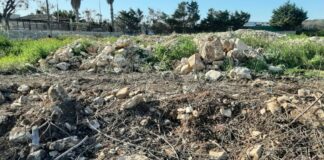 Al via opere di riforestazione urbana finanziati per 500mila euro