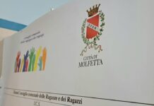 Piano Sociale di Zona 2026-2028: rinviata la sessione plenaria di illustrazione e discussione