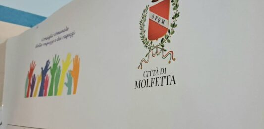 Piano Sociale di Zona 2026-2028: rinviata la sessione plenaria di illustrazione e discussione