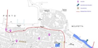 MolFest, park & ride a bus urbani gratuiti: come cambia la circolazione