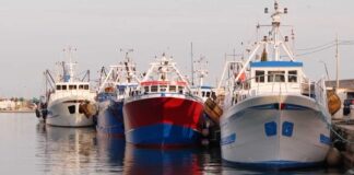Scatta il fermo pesca in Adriatico: “attenzione all’etichetta”, avverte Coldiretti Puglia