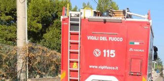 Cestello elevatore tocca cavi elettrici: 58enne molfettese muore folgorato a Bisceglie