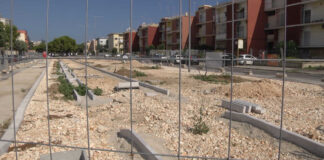 Riqualificazione e pini di via Don Minzoni, ancora polemiche tra Comune e Comitato per la Difesa del Verde