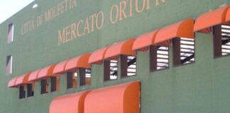 Festività di Ognissanti, calendario attività mercato ortofrutticolo