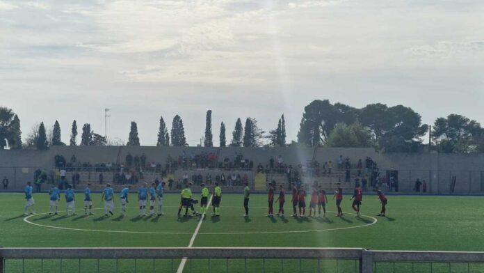 novoli molfetta