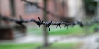 80 anni dalla liberazione del campo di concentramento di Auschwitz, la nota del sindaco Minervini