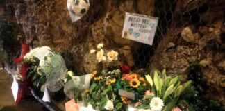 Tragedia di via Terlizzi, patteggia il 20enne che investì Davide Farinola: due anni con pena sospesa