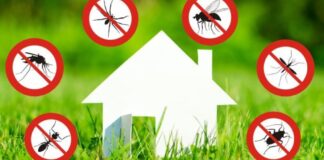 Programma anti larvale e disinfestazione notturna, il calendario 2025