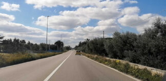Tronco idrico-fognario lungo la provinciale 112, l’opera interesserà oltre 500 utenze