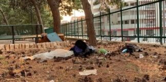 Parco dei Nonni, Girolamo Lanza: «Bene la riapertura, ma serve una cura quotidiana degli spazi pubblici»