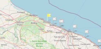 Dati Arpa Puglia, alga tossica assente nelle acque di Molfetta