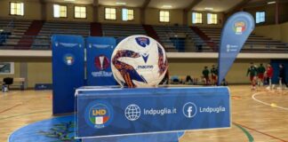Real Molfetta C5, ufficiale il girone unico di Serie C1
