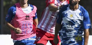 Tris del Borgorosso Molfetta contro la Virtus Andria