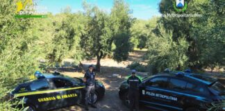 Abbandono di rifiuti edili, sequestrata un’azienda da 100mila euro a Molfetta