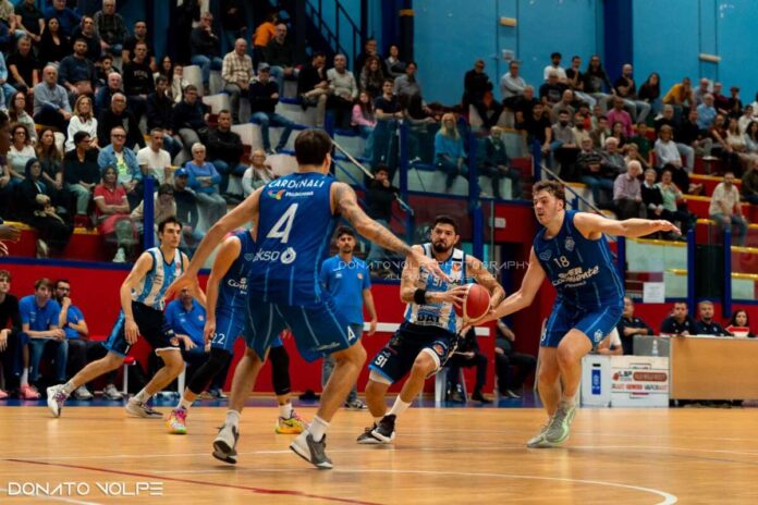 Virtus Basket Molfetta