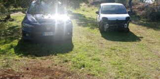 Era stata rubata a Molfetta, utilitaria ritrovata in un fondo agricolo a Ruvo