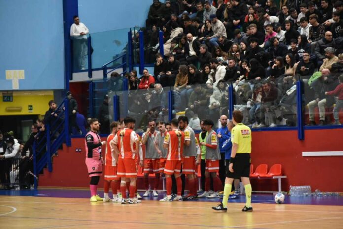 Real Molfetta C5