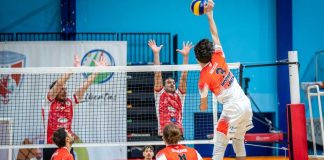 Volley, Serie B: l’Indeco Molfetta sfida il Bisignano con il sogno primo posto