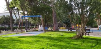 Supporto al Rup, Molfetta apre la selezione per un esperto del verde