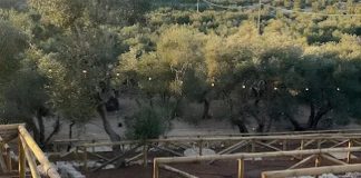 Comunali 2026, Mastropasqua sceglie il Pulo per lanciare la sua campagna elettorale