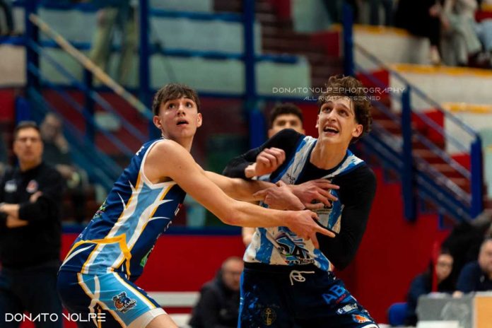 DAI Optical Virtus Basket Molfetta