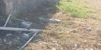 Spiaggia urbana sul Lungomare Colonna, la nota del Movimento Pro Molfetta