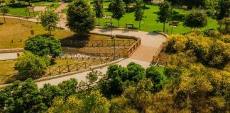 “Germogli Attivi”: rigenerazione urbana, ambiente e arte per far rifiorire il parco Baden Powell