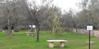 Giornate Europee del Patrimonio: il Movimento Pro Molfetta accende i riflettori sul territorio
