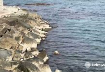 Addio alla maxi vasca sul lungomare Colonna: revocato il progetto da 12 milioni